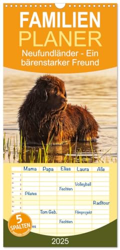 Familienplaner 2025 - Neufundländer - Ein bärenstarker Freund mit 5 Spalten (Wandkalender, 21 cm x 45 cm), CALVENDO von CALVENDO