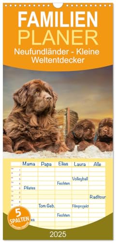 Familienplaner 2025 - Neufundländer - Kleine Weltentdecker mit 5 Spalten (Wandkalender, 21 cm x 45 cm), CALVENDO von CALVENDO