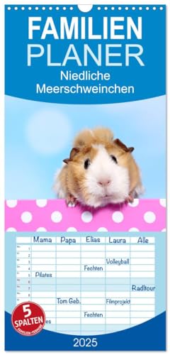 Familienplaner 2025 - Niedliche Meerschweinchen mit 5 Spalten (Wandkalender, 21 cm x 45 cm), CALVENDO von CALVENDO
