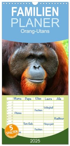 Familienplaner 2025 - Orang-Utans mit 5 Spalten (Wandkalender, 21 cm x 45 cm), CALVENDO von CALVENDO