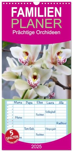 Familienplaner 2025 - Prächtige Orchideen mit 5 Spalten (Wandkalender, 21 cm x 45 cm), CALVENDO