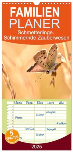 Familienplaner 2025 - Schmetterlinge. Schimmernde Zauberwesen mit 5 Spalten (Wandkalender, 21 cm x 45 cm), CALVENDO von CALVENDO