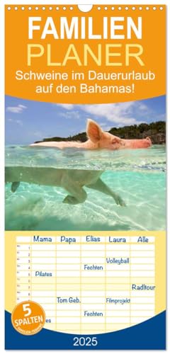 Familienplaner 2025 - Schweine im Dauerurlaub auf den Bahamas! mit 5 Spalten (Wandkalender, 21 cm x 45 cm), CALVENDO von CALVENDO