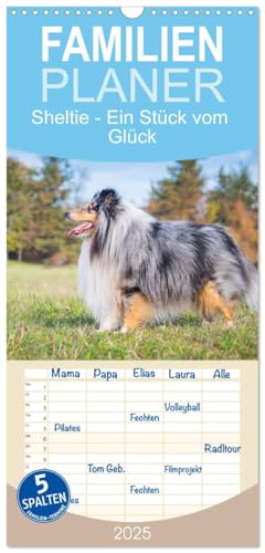 Familienplaner 2025 - Sheltie - Ein Stück vom Glück mit 5 Spalten (Wandkalender, 21 cm x 45 cm), CALVENDO von CALVENDO