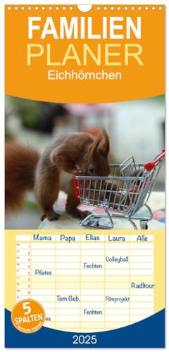 Familienplaner 2025 - Spaß mit Eichhörnchen! mit 5 Spalten (Wandkalender, 21 cm x 45 cm), CALVENDO von CALVENDO