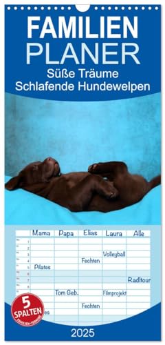 Familienplaner 2025 - Süße Träume 2025 - schlafende Hundewelpen mit 5 Spalten (Wandkalender, 21 cm x 45 cm), CALVENDO von CALVENDO