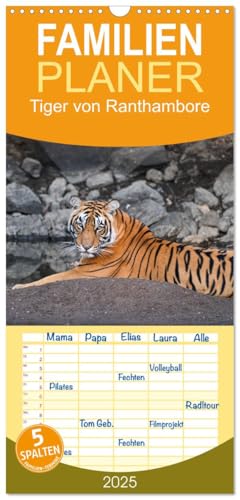 Familienplaner 2025 - Tiger von Ranthambore mit 5 Spalten (Wandkalender, 21 cm x 45 cm), CALVENDO von CALVENDO