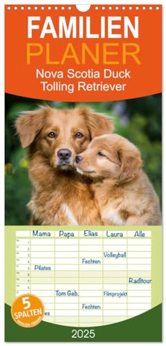 Familienplaner 2025 - Toller - Nova Scotia Duck Tolling Retriever mit 5 Spalten (Wandkalender, 21 cm x 45 cm), CALVENDO von CALVENDO