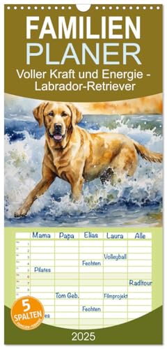 Familienplaner 2025 - Voller Kraft und Energie - Labrador-Retriever mit 5 Spalten (Wandkalender, 21 cm x 45 cm), CALVENDO