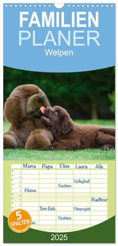 Familienplaner 2025 - Welpen 2025 mit 5 Spalten (Wandkalender, 21 cm x 45 cm), CALVENDO von CALVENDO