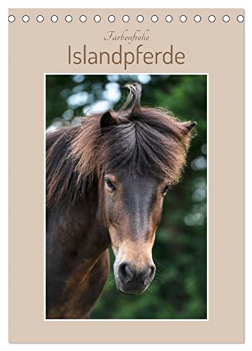 Farbenfrohe Islandpferde (Tischkalender 2026 DIN A5 hoch), CALVENDO Monatskalender von CALVENDO
