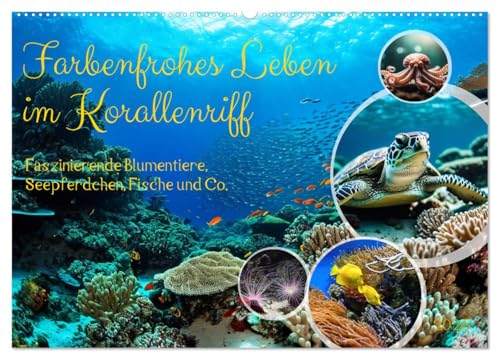 Farbenfrohes Leben im Korallenriff (Wandkalender 2025 DIN A2 quer), CALVENDO Monatskalender von CALVENDO