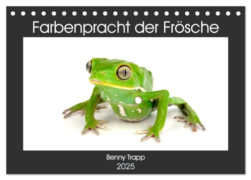 Farbenpracht der Frösche (Tischkalender 2025 DIN A5 quer), CALVENDO Monatskalender von CALVENDO
