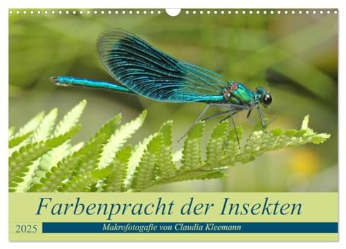 Farbenpracht der Insekten (Wandkalender 2025 DIN A3 quer), CALVENDO Monatskalender von CALVENDO