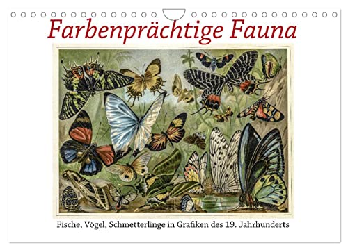 Farbenprächtige Fauna. Fische, Vögel, Schmetterlinge in Grafiken des 19 Jahrhunderts (Wandkalender 2025 DIN A4 quer), CALVENDO Monatskalender von CALVENDO