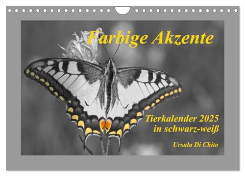 Farbige Akzente - Tierkalender 2025 in schwarz-weiß (Wandkalender 2025 DIN A4 quer), CALVENDO Monatskalender von CALVENDO