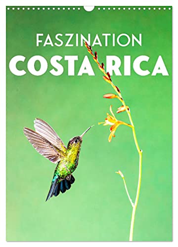 Faszination Costa Rica (Wandkalender 2025 DIN A3 hoch), CALVENDO Monatskalender von CALVENDO