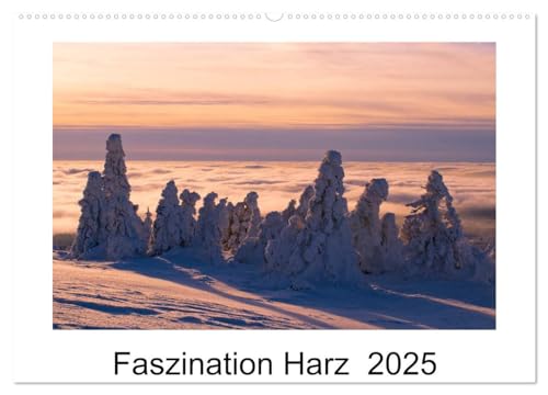 Faszination Harz 2025 (Wandkalender 2025 DIN A2 quer), CALVENDO Monatskalender von CALVENDO