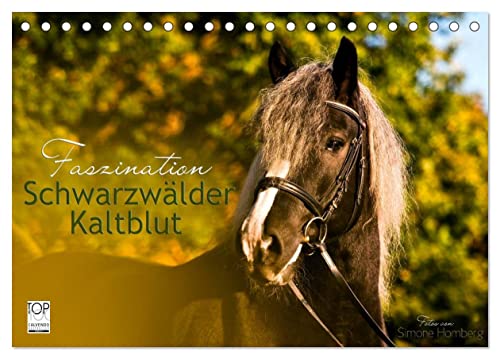 Faszination Schwarzwälder Kaltblut (Tischkalender 2025 DIN A5 quer), CALVENDO Monatskalender von CALVENDO
