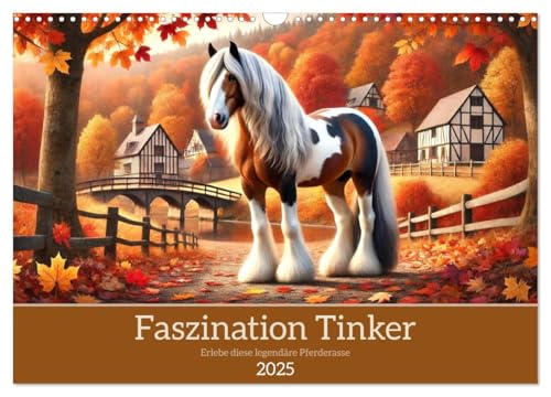 Faszination Tinker (Wandkalender 2025 DIN A3 quer), CALVENDO Monatskalender: Entdecke die Schönheit der Tinker-Pferde (CALVENDO Tiere)
