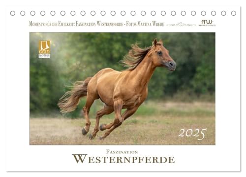 Faszination Westernpferde (Tischkalender 2025 DIN A5 quer), CALVENDO Monatskalender von CALVENDO