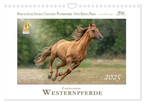 Faszination Westernpferde (Wandkalender 2025 DIN A4 quer), CALVENDO Monatskalender von CALVENDO