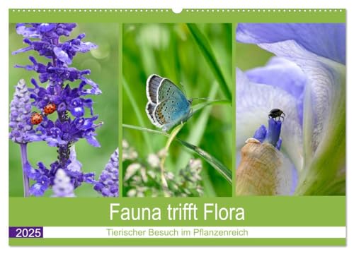 Fauna trifft Flora - Tierischer Besuch im Pflanzenreich (Wandkalender 2025 DIN A2 quer), CALVENDO Monatskalender von CALVENDO