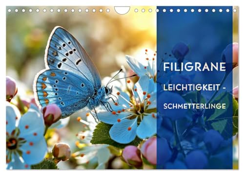 Filigrane Leichtigkeit - Schmetterlinge (Wandkalender 2025 DIN A4 quer), CALVENDO Monatskalender von CALVENDO