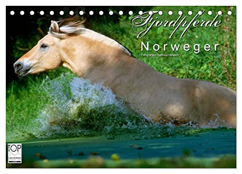Fjordpferde - Norweger (Tischkalender 2025 DIN A5 quer), CALVENDO Monatskalender von CALVENDO
