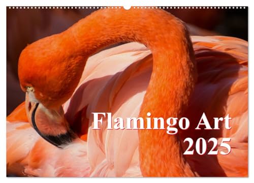 Flamingo Art 2025 (Wandkalender 2025 DIN A2 quer), CALVENDO Monatskalender von CALVENDO