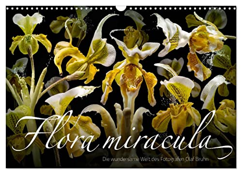 Flora miracula - Die wundersame Welt des Fotografen Olaf Bruhn (Wandkalender 2025 DIN A3 quer), CALVENDO Monatskalender von CALVENDO