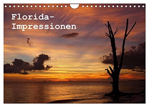 Florida Impressionen (Wandkalender 2026 DIN A4 quer), CALVENDO Monatskalender: Szenen aus Florida - Natur und öffentliches Leben (CALVENDO Orte) von Calvendo