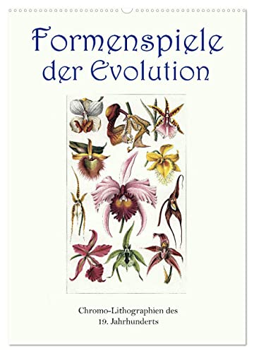 Formenspiele der Evolution. Chromolithographien des 19. Jahrhunderts (Wandkalender 2025 DIN A2 hoch), CALVENDO Monatskalender von CALVENDO