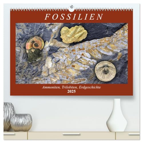 Fossilien - Ammoniten, Trilobiten, Erdgeschichte (hochwertiger Premium Wandkalender 2025 DIN A2 quer), Kunstdruck in Hochglanz von CALVENDO