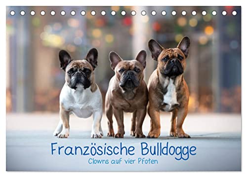 Französische Bulldogge - Clowns auf vier Pfoten (Tischkalender 2025 DIN A5 quer), CALVENDO Monatskalender von CALVENDO