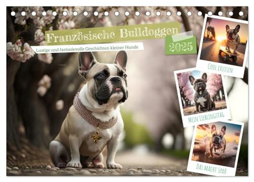 Französische Bulldoggen (Tischkalender 2025 DIN A5 quer), CALVENDO Monatskalender von CALVENDO