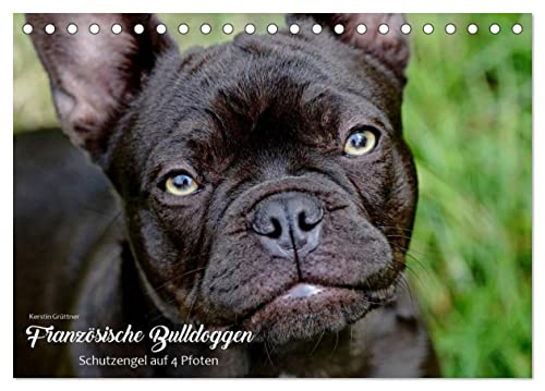 Französische Bulldoggen - Schutzengel auf 4 Pfoten (Tischkalender 2025 DIN A5 quer), CALVENDO Monatskalender von CALVENDO