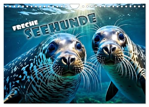 Freche Seehunde (Wandkalender 2025 DIN A4 quer), CALVENDO Monatskalender von CALVENDO
