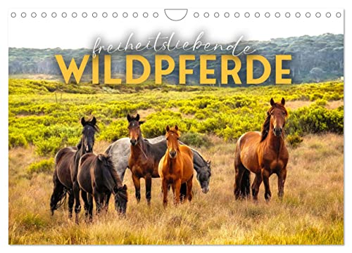 Freiheitsliebende Wildpferde (Wandkalender 2025 DIN A4 quer), CALVENDO Monatskalender von CALVENDO