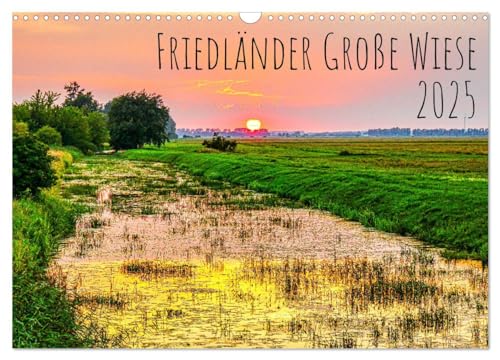 Friedländer Große Wiese (Wandkalender 2025 DIN A3 quer), CALVENDO Monatskalender von CALVENDO