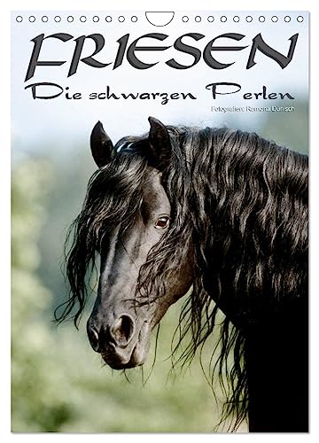 Friesen - die schwarzen Perlen (Wandkalender 2025 DIN A4 hoch), CALVENDO Monatskalender von CALVENDO