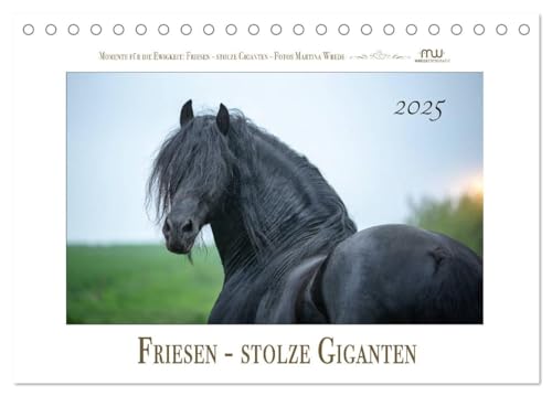 Friesen - stolze Giganten (Tischkalender 2025 DIN A5 quer), CALVENDO Monatskalender von CALVENDO