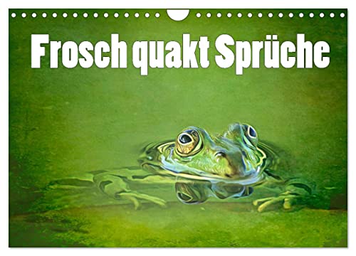 Frosch quakt Sprüche (Wandkalender 2025 DIN A4 quer), CALVENDO Monatskalender von CALVENDO