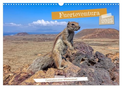 Fuerteventura - Faszination einer Wüsteninsel (Wandkalender 2025 DIN A3 quer), CALVENDO Monatskalender von CALVENDO