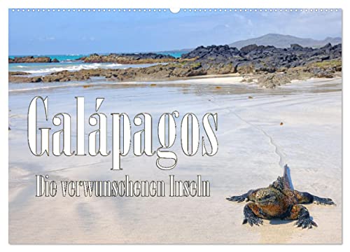 Galápagos - Die verwunschenen Inseln (Wandkalender 2025 DIN A2 quer), CALVENDO Monatskalender von CALVENDO