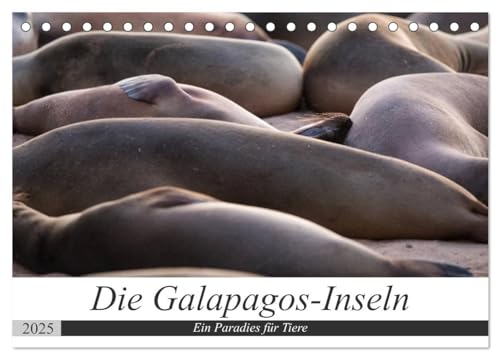 Galapagos-Inseln - Ein Paradies für Tiere (Tischkalender 2025 DIN A5 quer), CALVENDO Monatskalender von CALVENDO