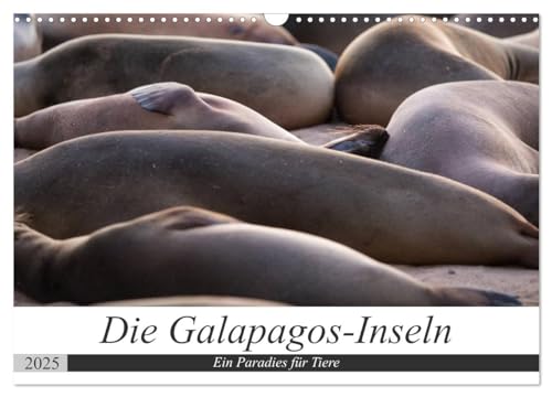 Galapagos-Inseln - Ein Paradies für Tiere (Wandkalender 2025 DIN A3 quer), CALVENDO Monatskalender von CALVENDO