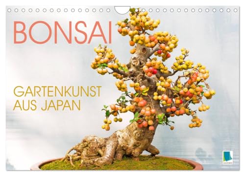 Gartenkunst aus Japan: Bonsai (Wandkalender 2025 DIN A4 quer), CALVENDO Monatskalender von CALVENDO