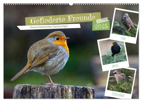 Gefiederte Freunde - Unsere heimischen Gartenvögel (Wandkalender 2025 DIN A2 quer), CALVENDO Monatskalender von CALVENDO