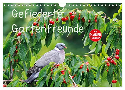 Gefiederte Gartenfreunde (Wandkalender 2025 DIN A4 quer), CALVENDO Monatskalender von CALVENDO